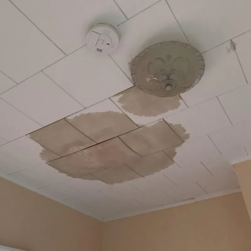 Ceiling Water Damage Repair in City of Richmond, VA