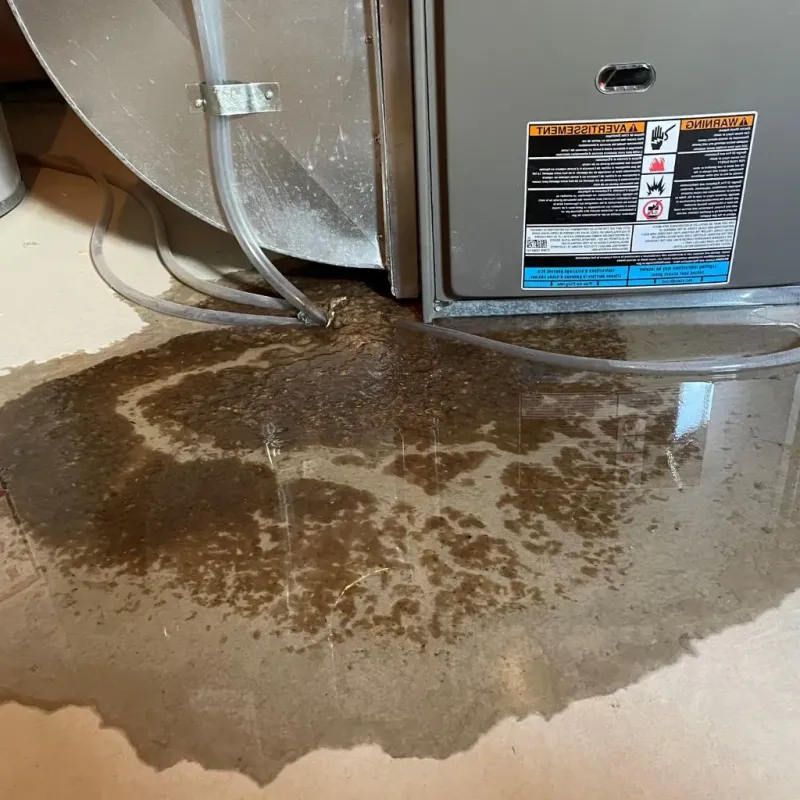 Pipe Burst and Leak Restoration in City of Richmond, VA